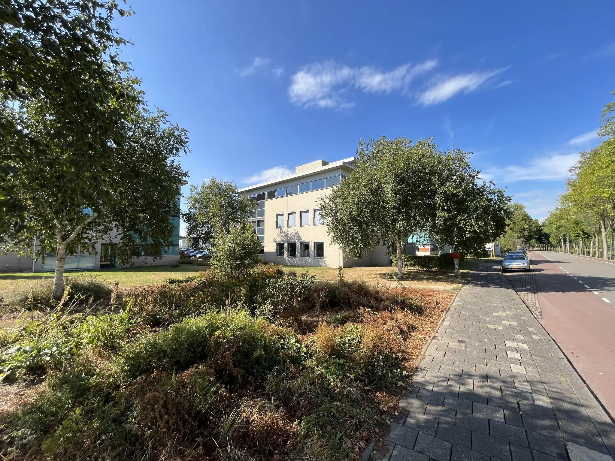 Kantoorgebouw in Leidse Rijn aan een rustige straat met groenstrook en geparkeerde auto.